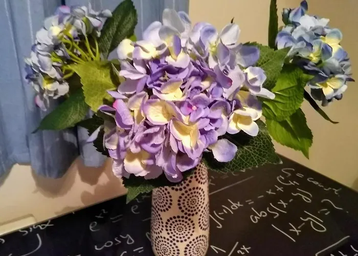 Trip Your Mind In Greece *